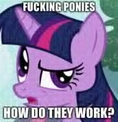 How do ponies.jpg