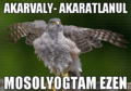 Akarvaly.png