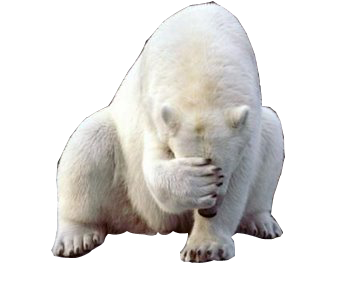 Icebearpalm.png