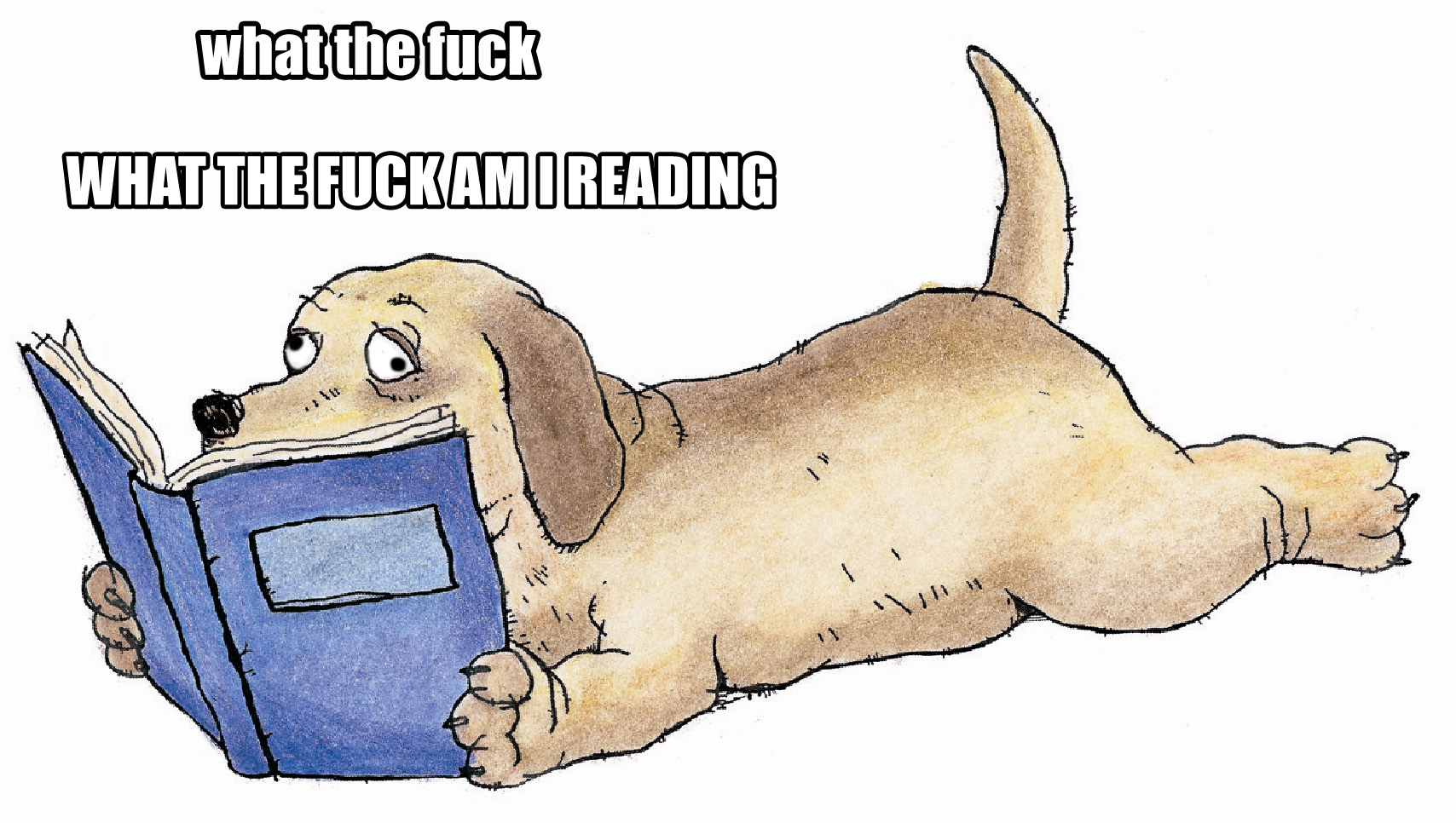 What the fuck am I reading dog.jpg